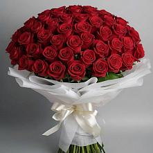 Букет 101 Красная роза Блэк Мэджик в Дербетовке