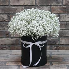 Цветочная композиция из Гипсофила в шляпной коробке #REPLACE_PRED# Дербетовке