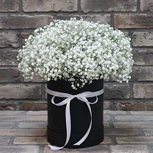 Цветочная композиция из Гипсофила в шляпной коробке в Дербетовке