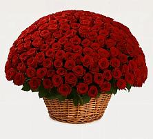 Премиум букет из: Розы в Дербетовке